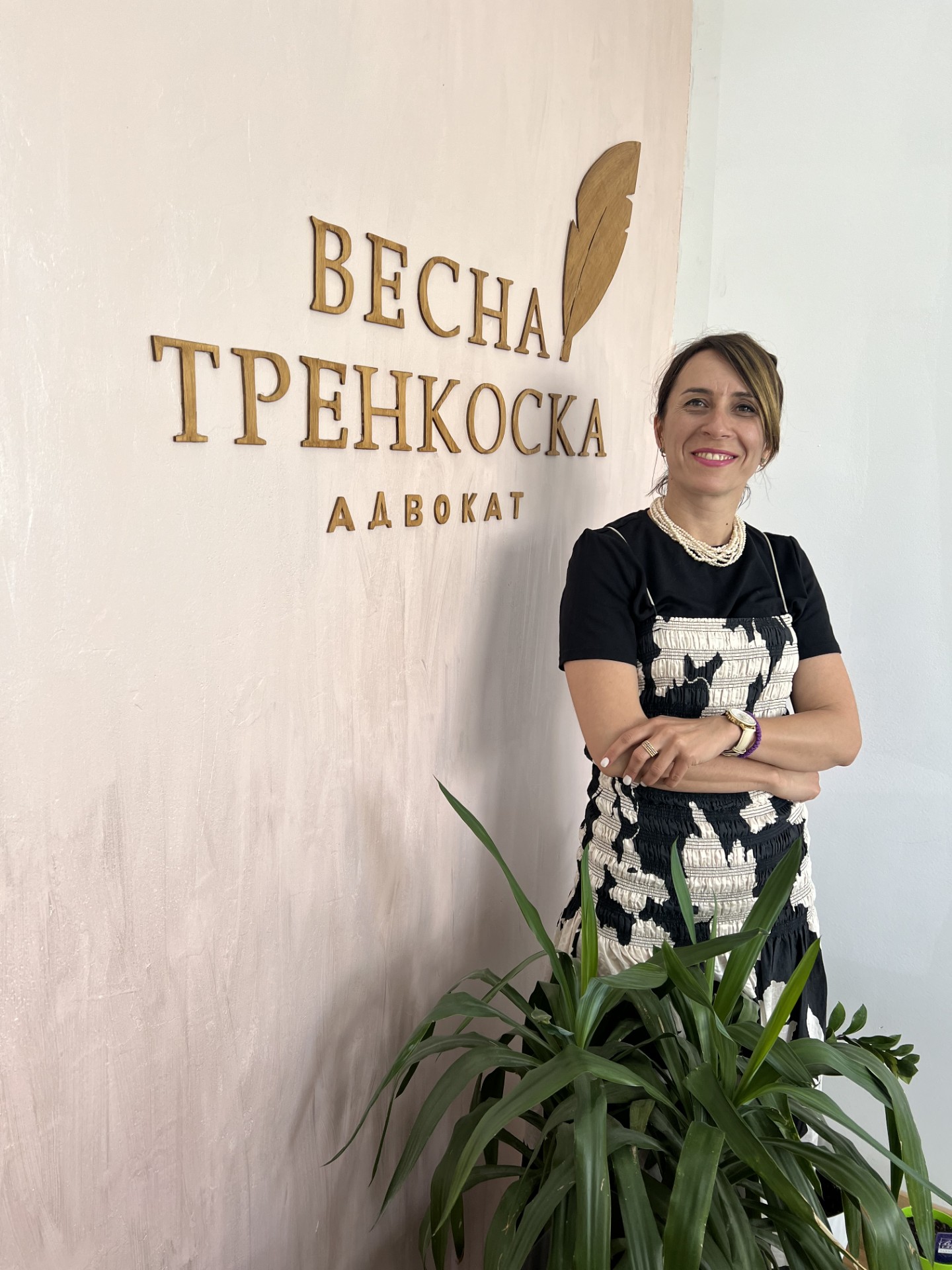 vesna trenkoska | Delovna Sposobnost | Деловна способност | Весна Тренкоска